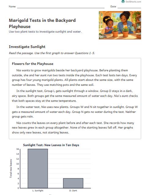 Marigold Tests in the Backyard Playhouse worksheet preview
