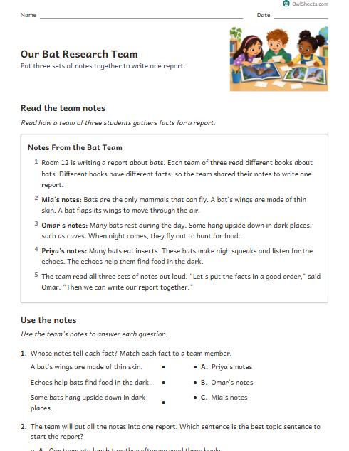 Our Bat Research Team worksheet preview
