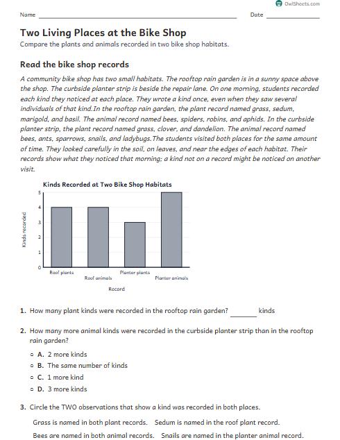 Two Living Places at the Bike Shop worksheet preview