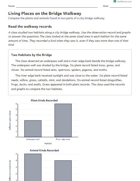 Living Places on the Bridge Walkway worksheet preview