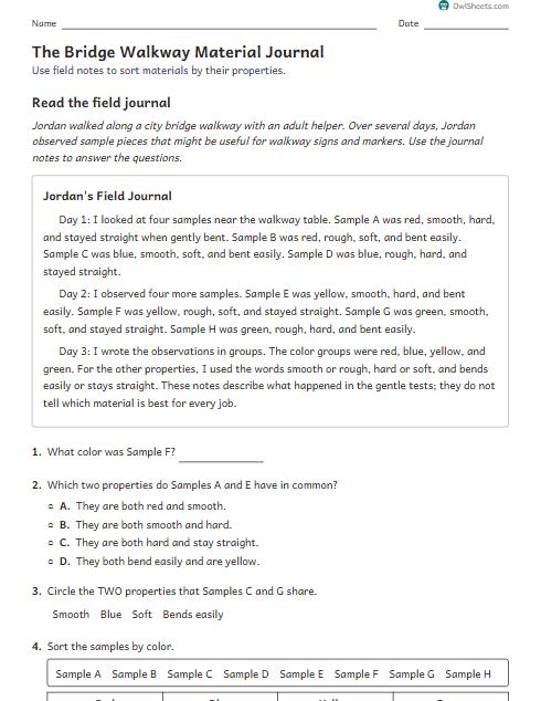 The Bridge Walkway Material Journal worksheet preview