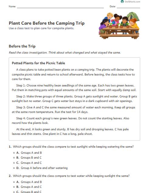 Plant Care Before the Camping Trip worksheet preview