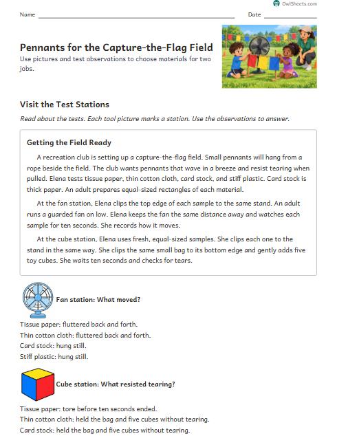 Pennants for the Capture-the-Flag Field worksheet preview