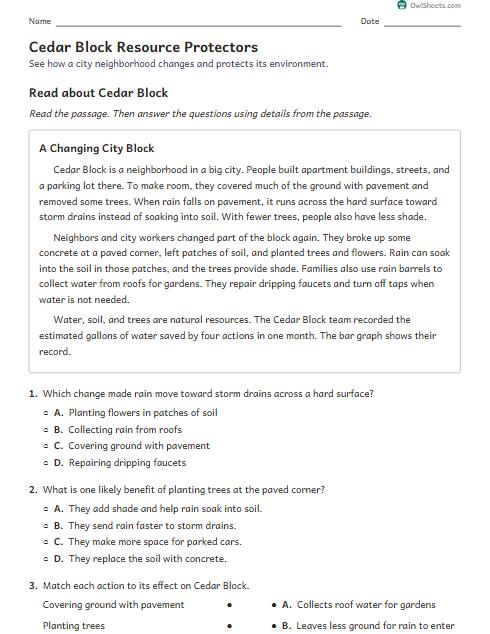 Cedar Block Resource Protectors worksheet preview
