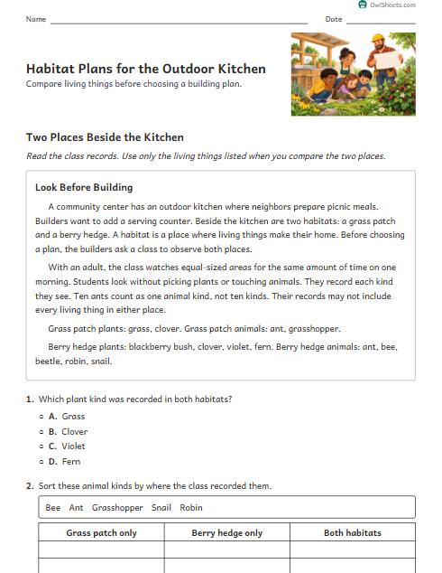 Habitat Plans for the Outdoor Kitchen worksheet preview