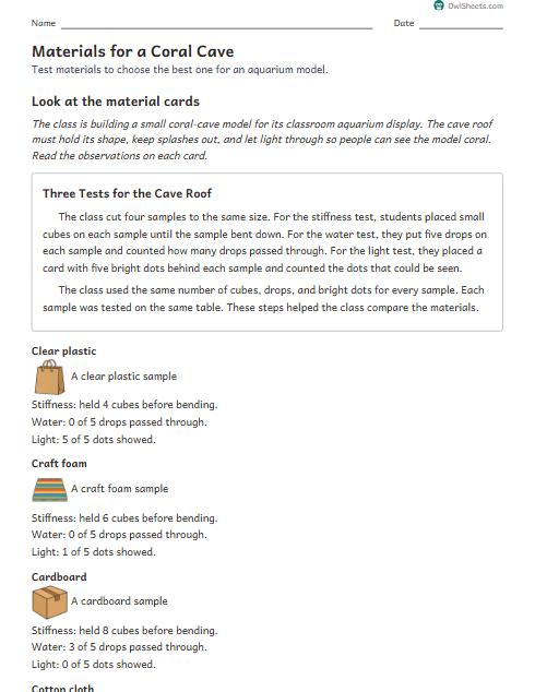 Materials for a Coral Cave worksheet preview