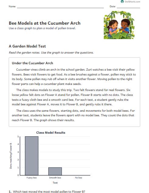 Bee Models at the Cucumber Arch worksheet preview