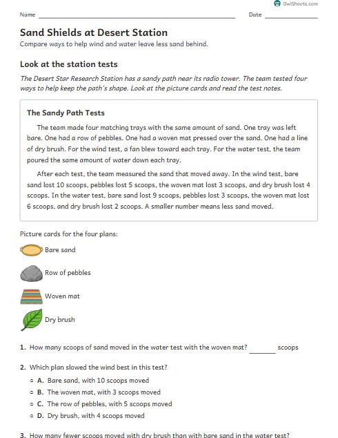 Sand Shields at Desert Station worksheet preview