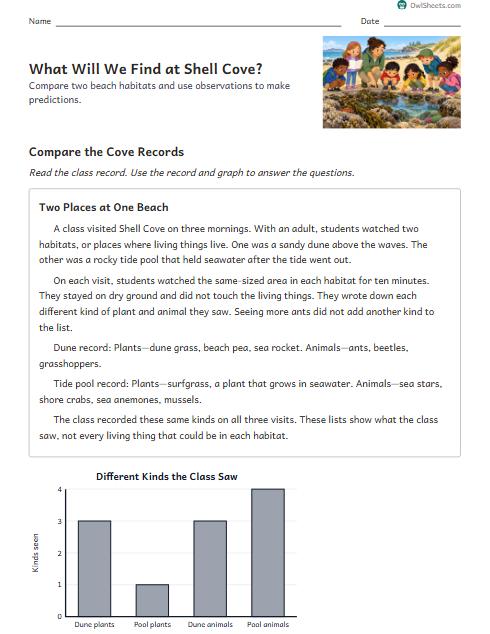 What Will We Find at Shell Cove? worksheet preview
