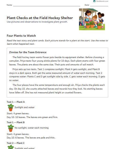 Plant Checks at the Field Hockey Shelter worksheet preview