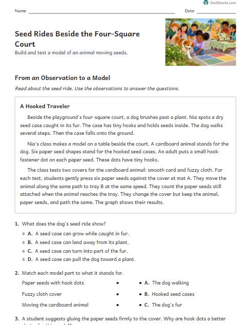 Seed Rides Beside the Four-Square Court worksheet preview