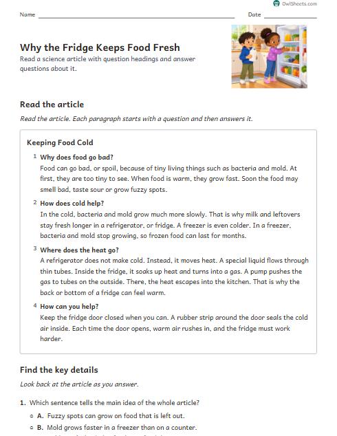 Why the Fridge Keeps Food Fresh worksheet preview