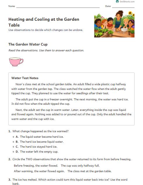 Heating and Cooling at the Garden Table worksheet preview