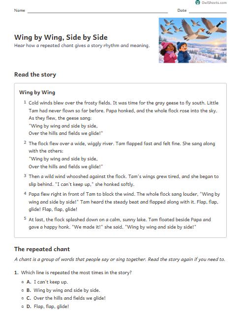 Wing by Wing, Side by Side worksheet preview