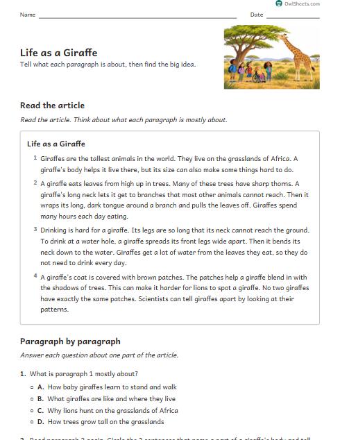 Life as a Giraffe worksheet preview