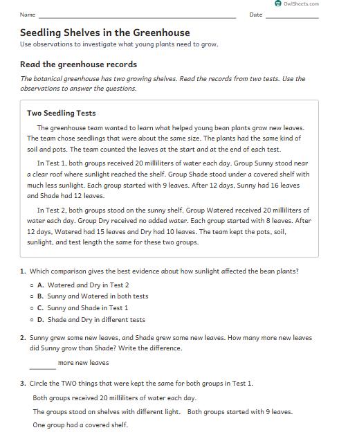 Seedling Shelves in the Greenhouse worksheet preview