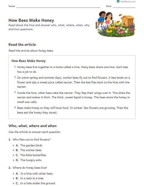 How Bees Make Honey worksheet preview