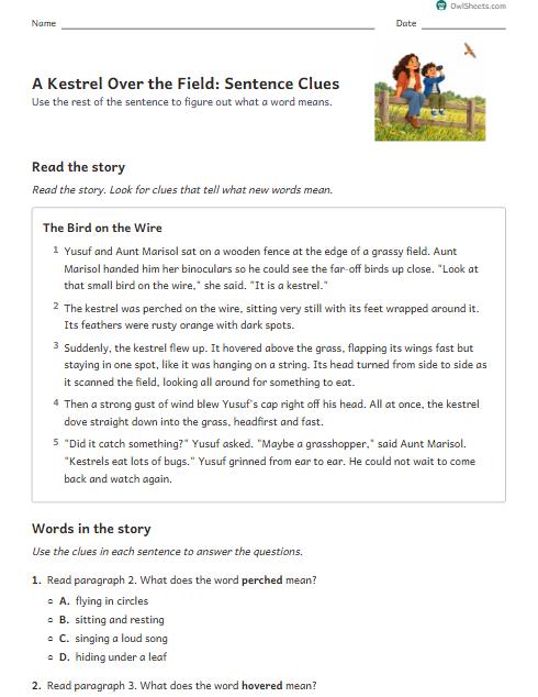 A Kestrel Over the Field: Sentence Clues worksheet preview