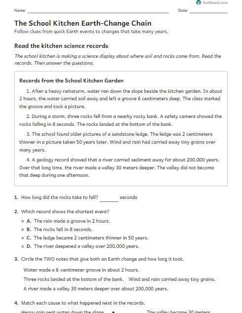 The School Kitchen Earth-Change Chain worksheet preview