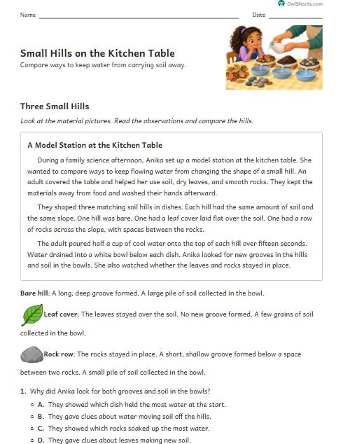 Small Hills on the Kitchen Table worksheet preview