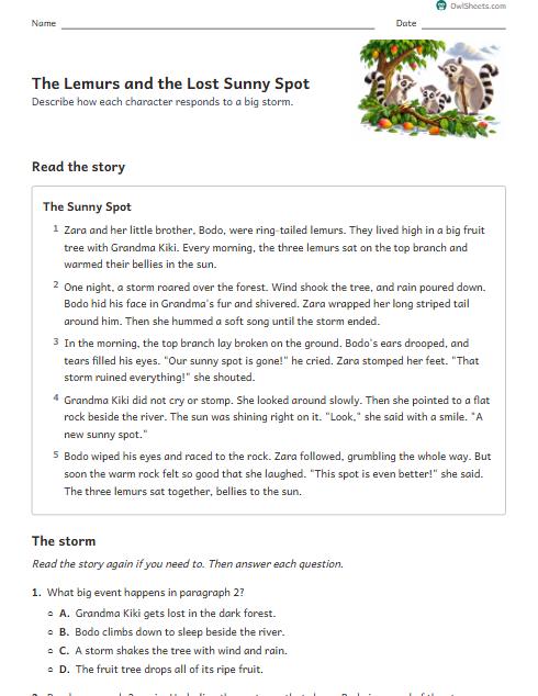 The Lemurs and the Lost Sunny Spot worksheet preview