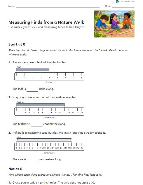 Measuring Finds from a Nature Walk worksheet preview
