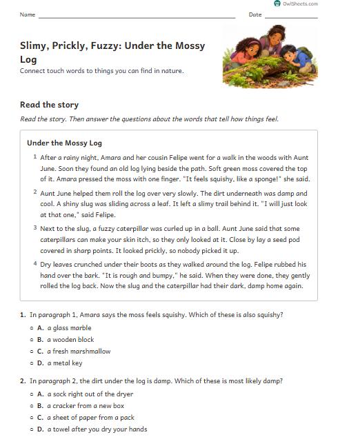 Slimy, Prickly, Fuzzy: Under the Mossy Log worksheet preview