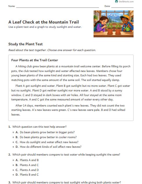 A Leaf Check at the Mountain Trail worksheet preview
