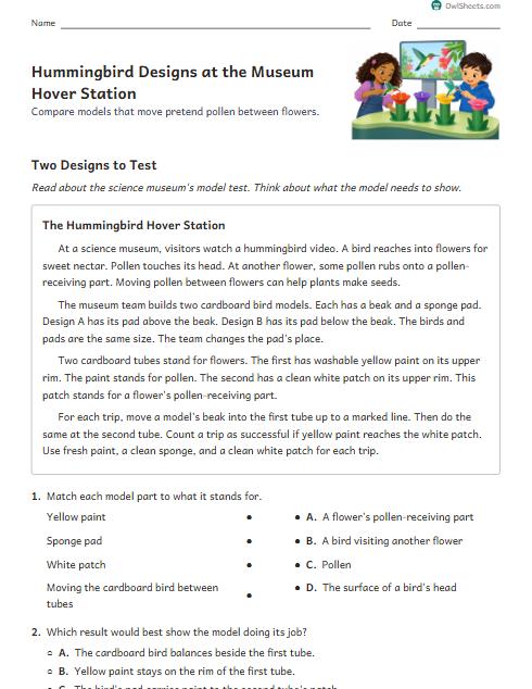 Hummingbird Designs at the Museum Hover Station worksheet preview