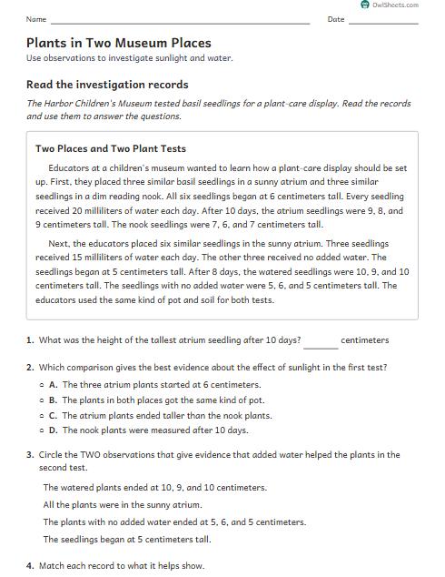 Plants in Two Museum Places worksheet preview