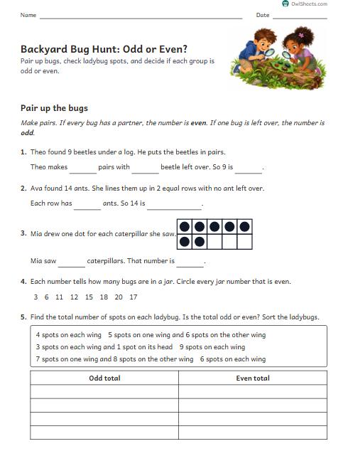 Backyard Bug Hunt: Odd or Even? worksheet preview
