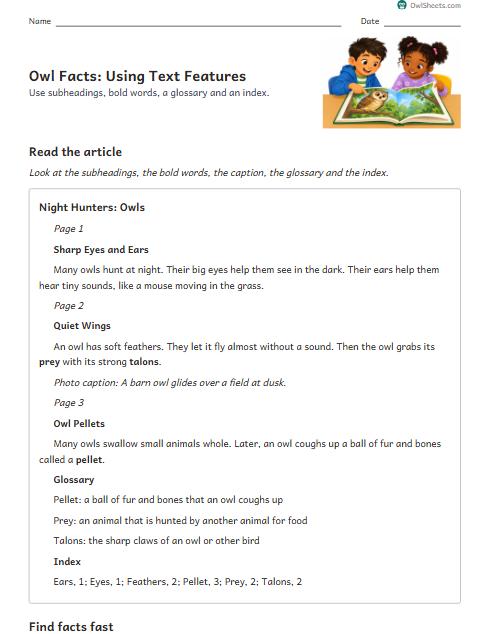 Owl Facts: Using Text Features worksheet preview