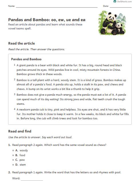 Pandas and Bamboo: oo, ew, ue and ea worksheet preview