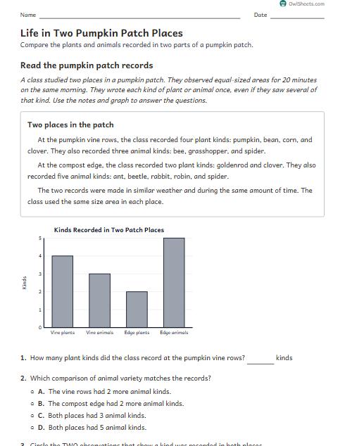 Life in Two Pumpkin Patch Places worksheet preview