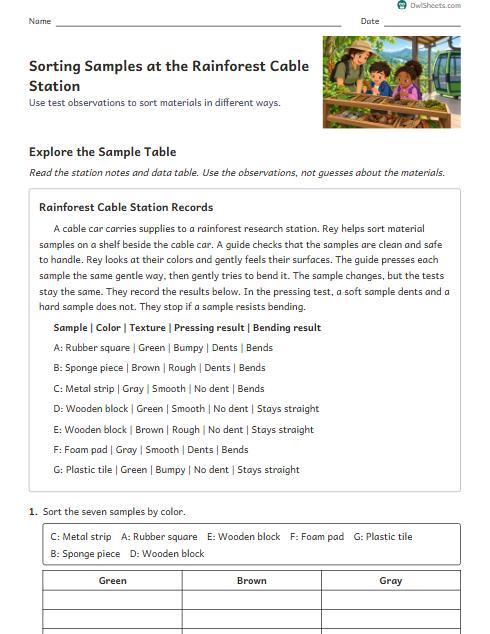 Sorting Samples at the Rainforest Cable Station worksheet preview