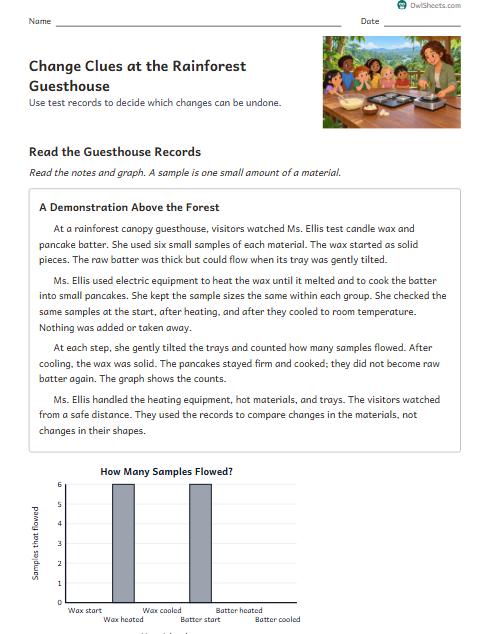 Change Clues at the Rainforest Guesthouse worksheet preview