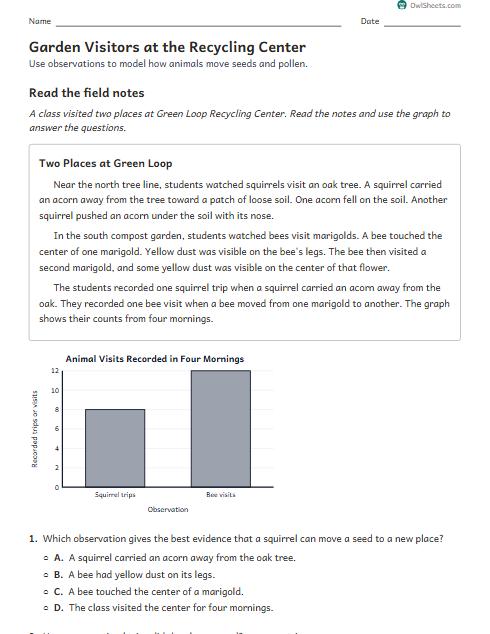 Garden Visitors at the Recycling Center worksheet preview