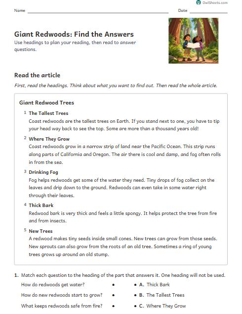 Giant Redwoods: Find the Answers worksheet preview