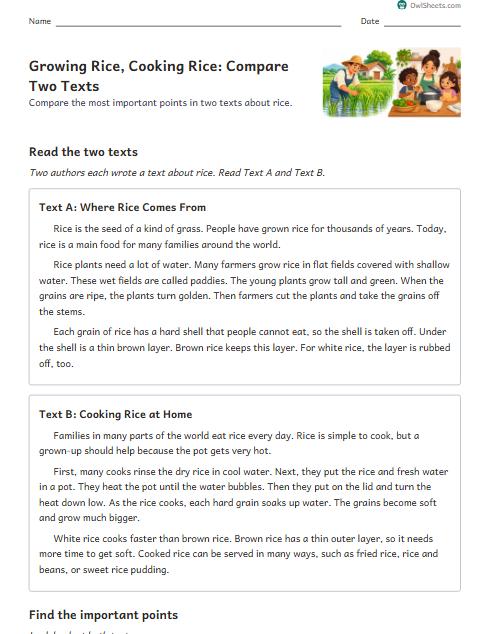 Growing Rice, Cooking Rice: Compare Two Texts worksheet preview