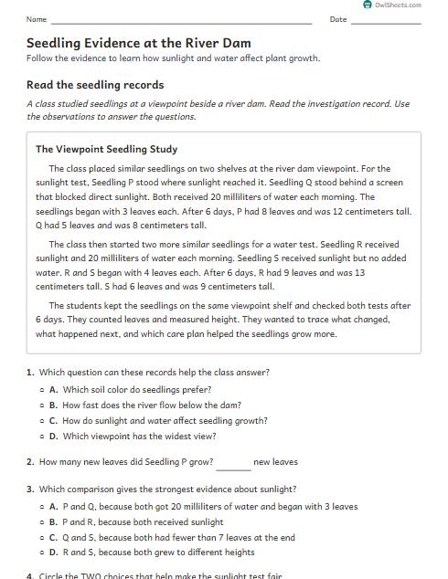 Seedling Evidence at the River Dam worksheet preview