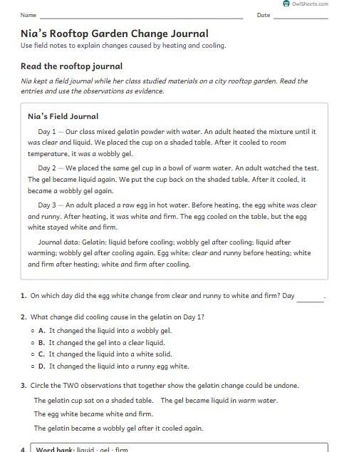 Nia’s Rooftop Garden Change Journal worksheet preview