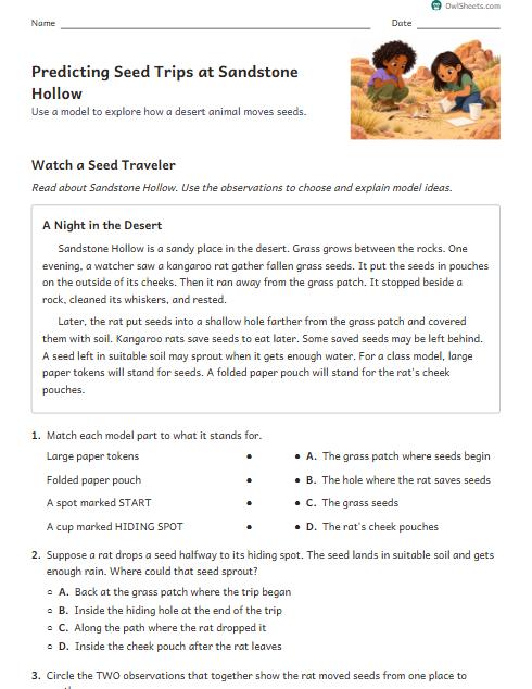 Predicting Seed Trips at Sandstone Hollow worksheet preview