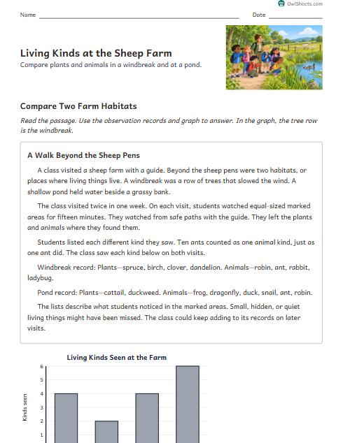 Living Kinds at the Sheep Farm worksheet preview