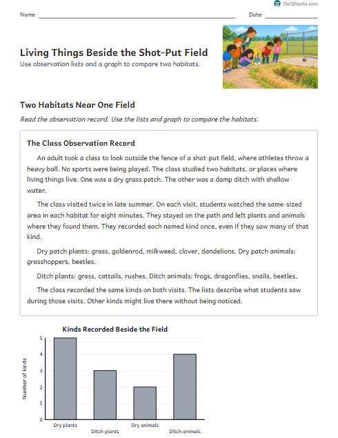 Living Things Beside the Shot-Put Field worksheet preview