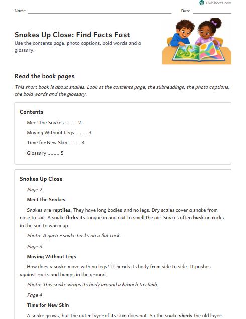 Snakes Up Close: Find Facts Fast worksheet preview