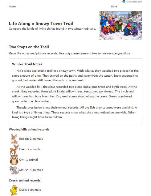 Life Along a Snowy Town Trail worksheet preview