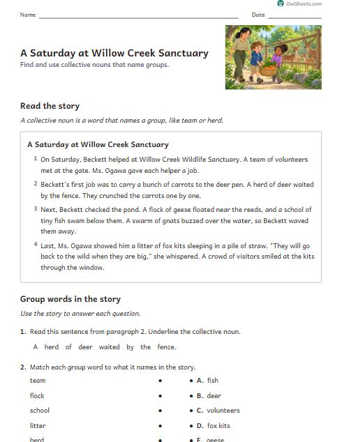 A Saturday at Willow Creek Sanctuary worksheet preview