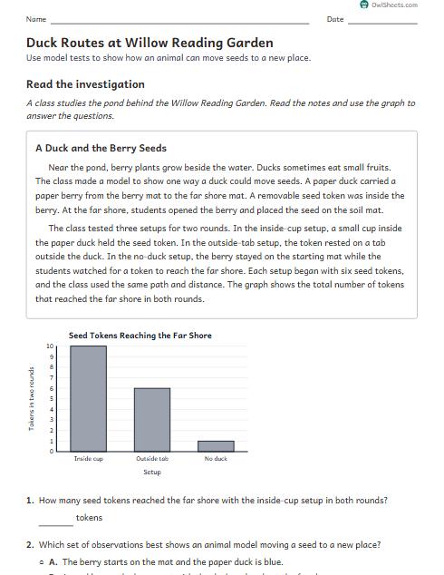 Duck Routes at Willow Reading Garden worksheet preview