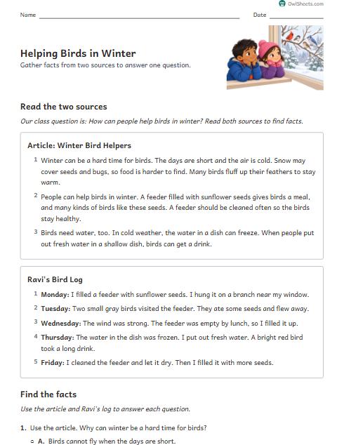 Helping Birds in Winter worksheet preview