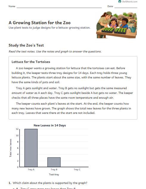 A Growing Station for the Zoo worksheet preview